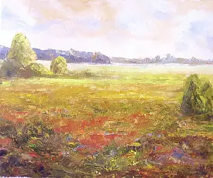 Anna Wąsikiewicz - Far from the forest