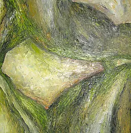 Wioletta Oszajca - Far