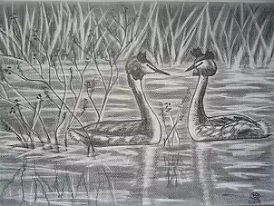 Marianna Małgorzata Bakanowicz - Fascination Jacek i Agatka-2008