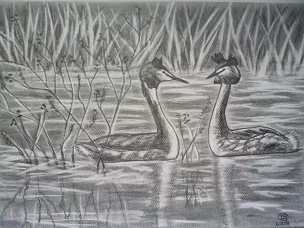 Marianna Małgorzata Bakanowicz - Fascination Jacek i Agatka-2008