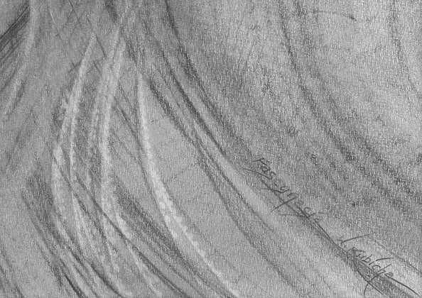 Witold Kubicha - Fascination