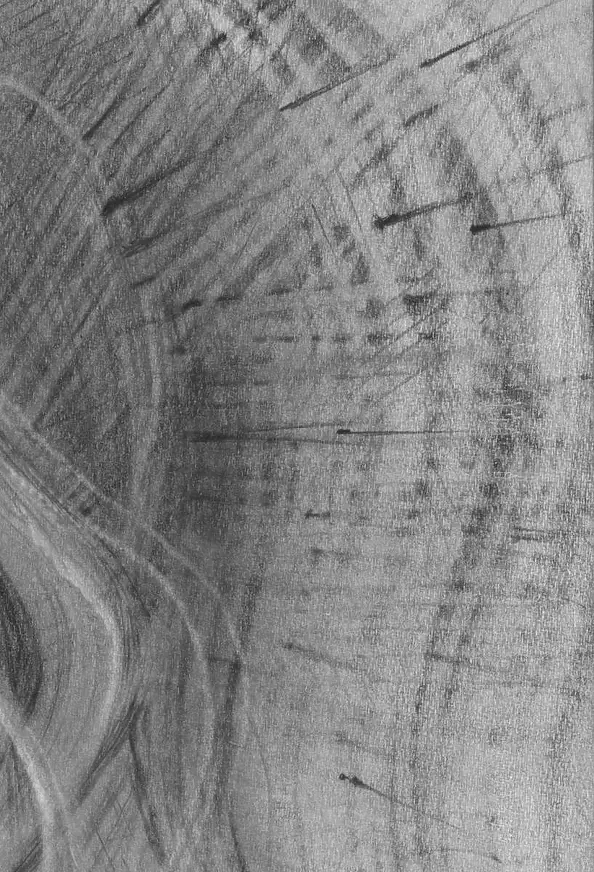 Witold Kubicha - Fascination