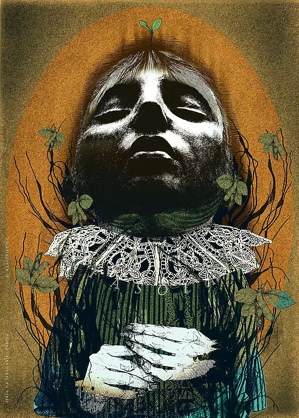 Damian Kłaczkiewicz - Fasola