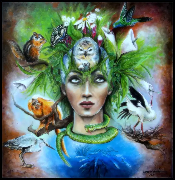 Grazyna Federico - Fauna