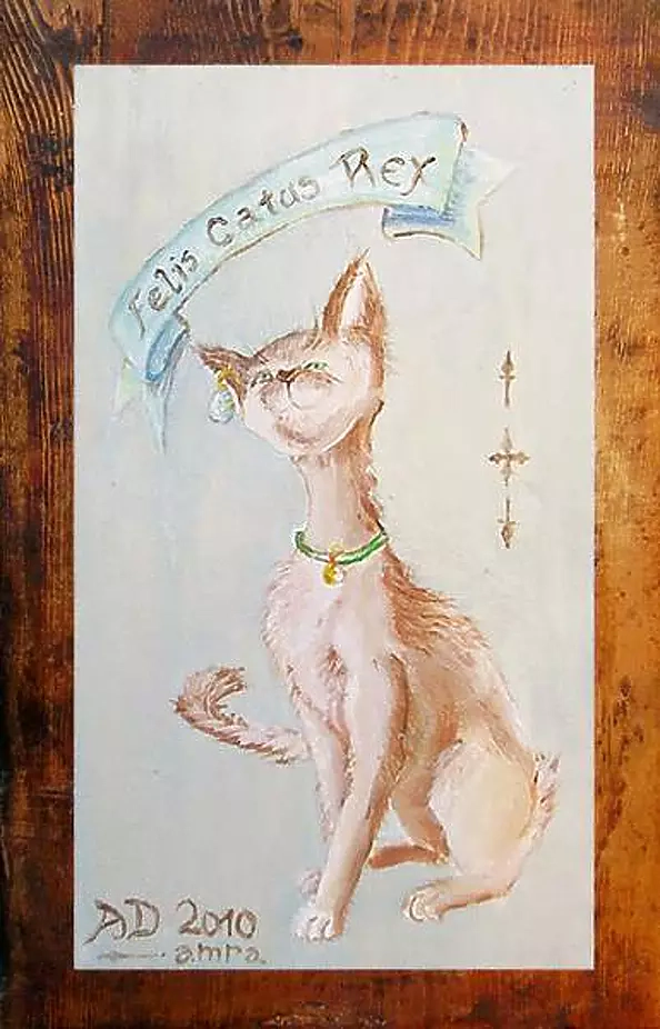 Anna Baryła - Felis catus Rex