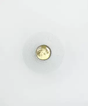 Izabela Olszyna - Feniks