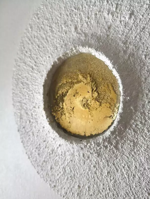 Izabela Olszyna - Feniks