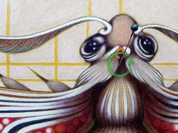 federico cortese - Fibonacci butterfly