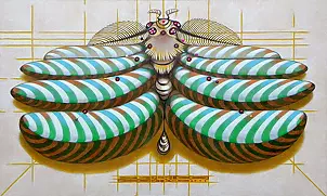federico cortese - Fibonacci moth