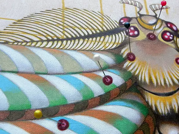 federico cortese - Fibonacci moth