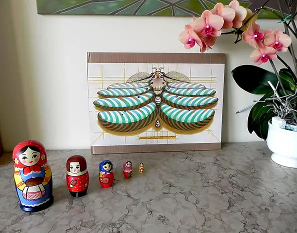 federico cortese - Fibonacci moth