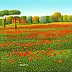 Cesare Marchesini - field of poppies