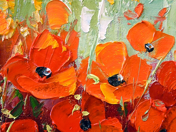 Olha Darchuk - Field of poppies near the mountains