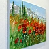 Olha Darchuk - Field of poppies near the mountains