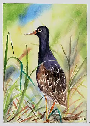 Zdzisław Rutkowski - "Bojownik III"