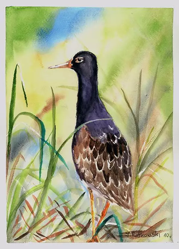 Zdzisław Rutkowski - "Bojownik III"