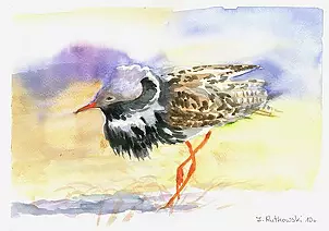 Zdzisław Rutkowski - "Bojownik II"