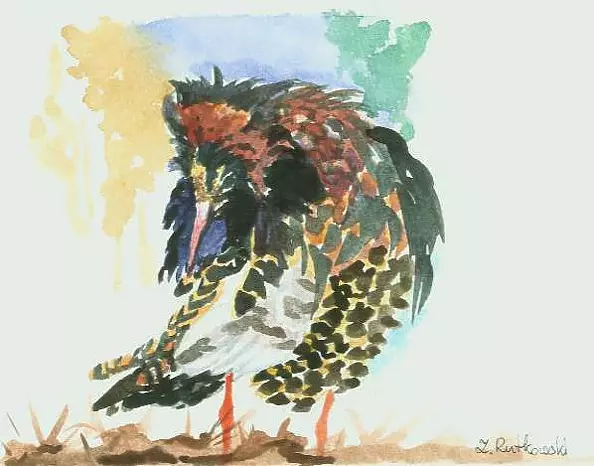 Zdzisław Rutkowski - Bojownik/batalion/