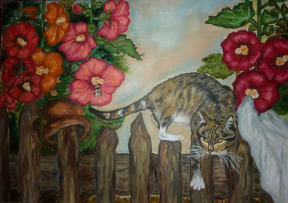 Marlena Kaftanowicz - Pranks cat Leon