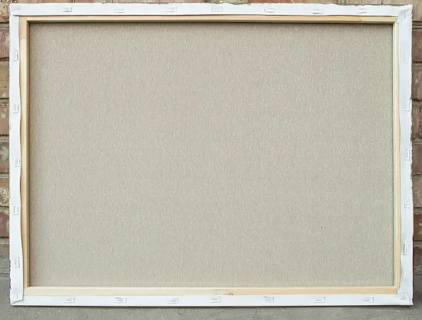 Nataliya Bagatskaya - Ficus, Cat and She...