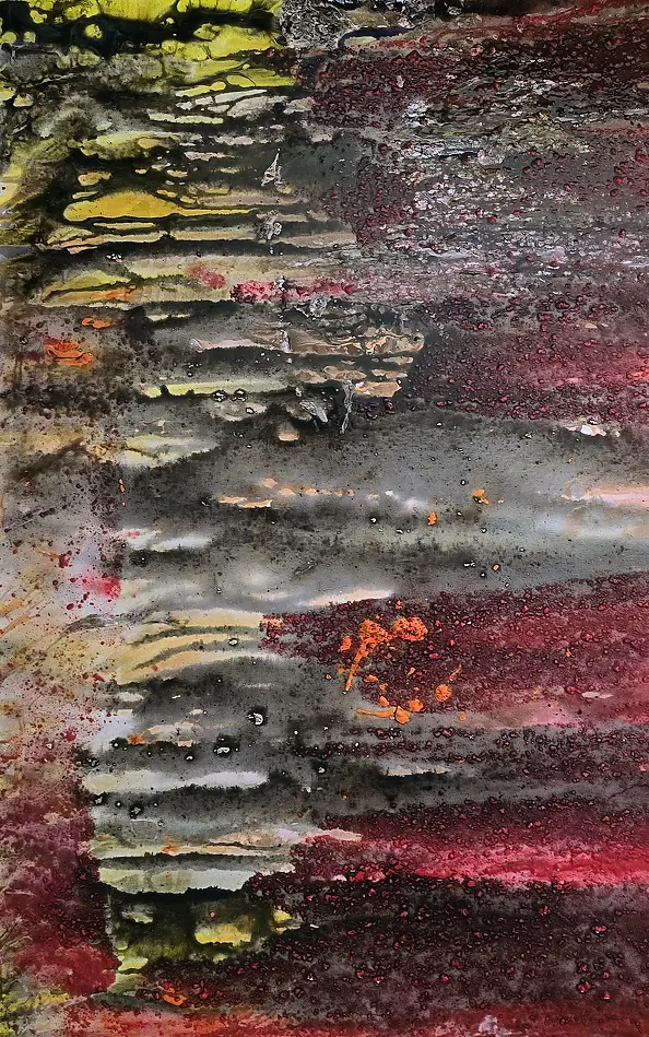 Ewa Mościszko - Finlandia jesienna tundra