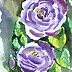 Zdzisław Rutkowski - purple roses