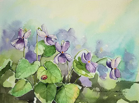 Magdalena Bronakowska - violets