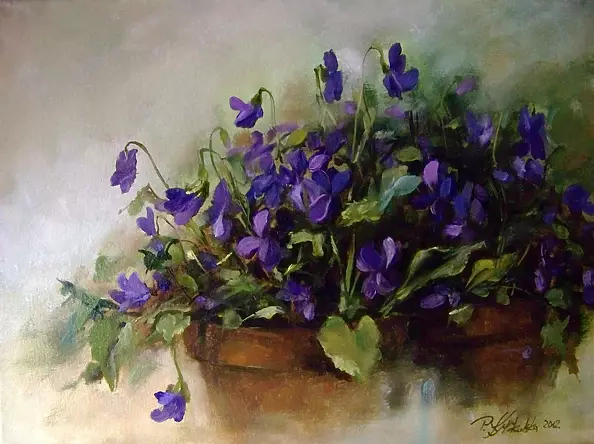 Patrycja Kruszyńska Mikulska - violets
