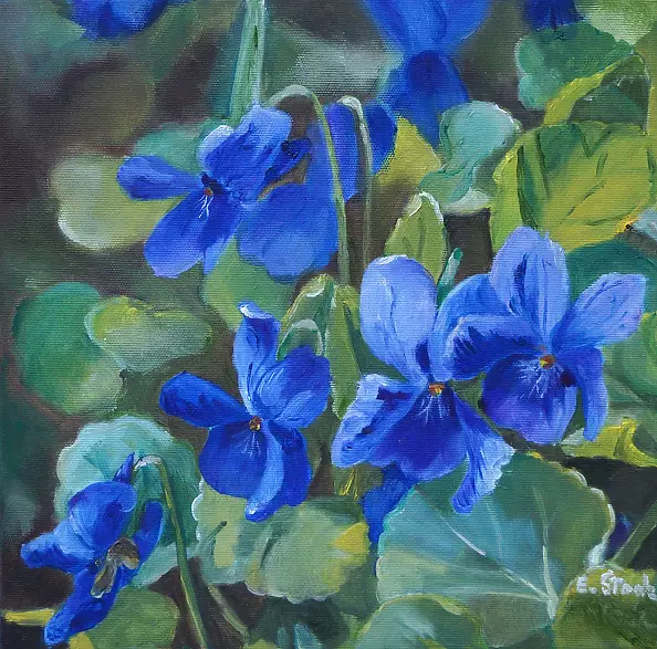 Ewa Słodzińska - Violets in the garden