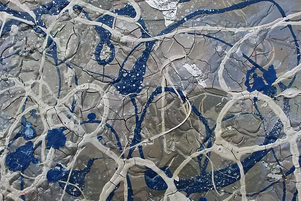 Rachel McCullock - Fireflies