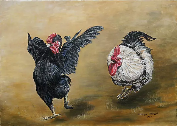 Katarzyna Niemczak - flamenco