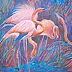 Izabela Krzyszkowska - Flamingos