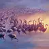Izabela Krzyszkowska - Flamingos II
