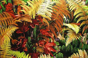 Przemek Mikke - "Flora Synthesis"