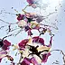 Joanna Bilska - Flux de fleurs III 55 x 55 cm