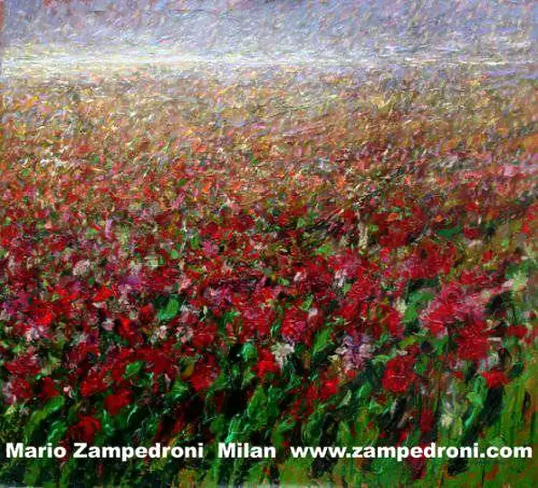 Mario Zampedroni -  Flower field