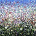 Mario Zampedroni - Blumenfeld mit Gänseblümchen