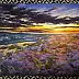 Yana Yeremenko -  "Flowers at Sunset"