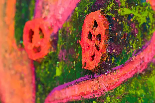 Pamela Rys - Flowers from Mars