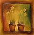 Ewa Gawlik - Flowers in flowerpots