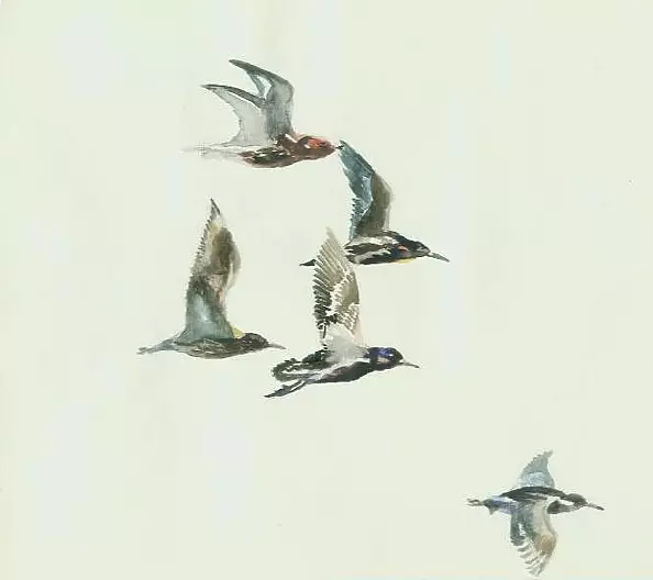 Zdzisław Rutkowski - Fighters in flight