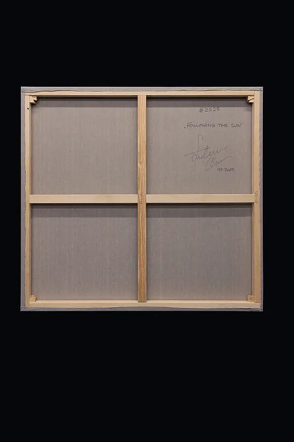 Łukasz Olek - Following The Sun