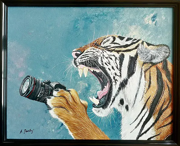 Agnieszka Mantaj - Phototiger