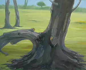 Salvatore Fratantonio - Odłam