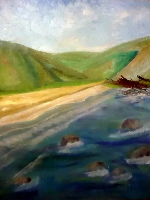 Stefania Cappelletti - fragments