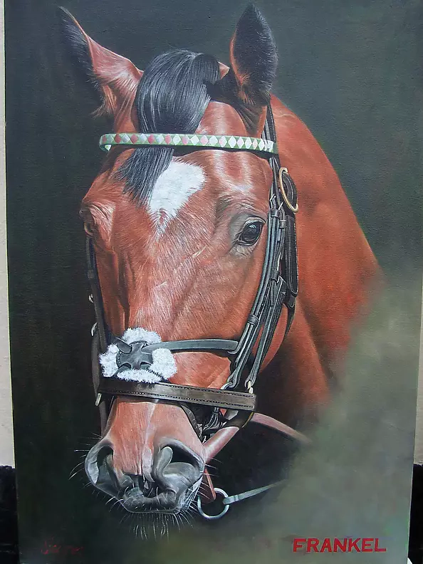 Mark Scorer - Frankel 1