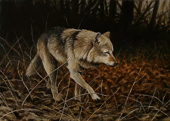 Michał Nowakowski - From the dark