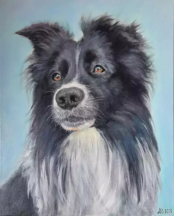 Agnieszka Młyńczyk AM Surma - Frugo