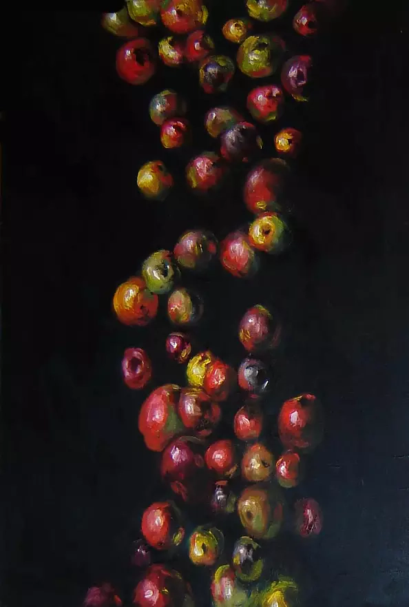 Paweł Galiński - Owoce XVII