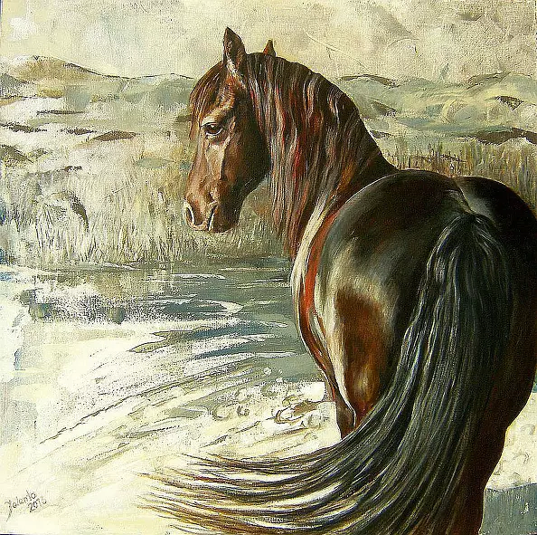 Jolanta Kalopsidiotis - Fryz